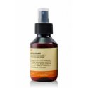 Spray ochronny Protective Hair Spray Insight Antioxidant 100ml