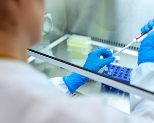 Komórki macierzyste w kosmetykach do włosów